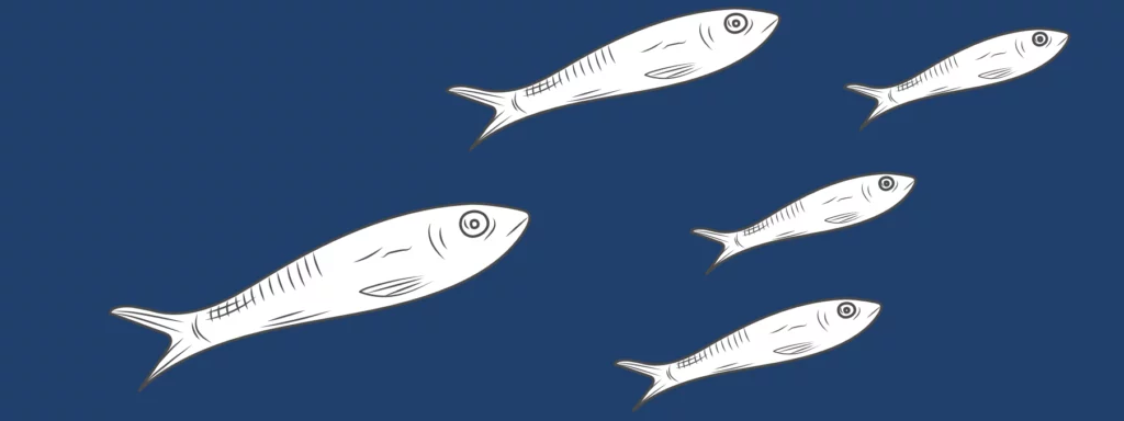 Illustration of 5 fishes